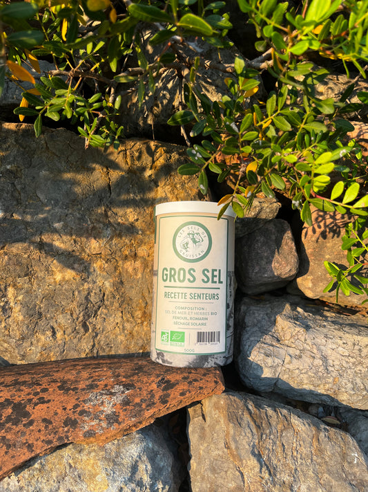 Gros sel Senteurs - Tube carton 500g