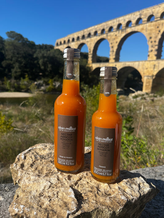 Nectar Abricot Bergeron 20 CL