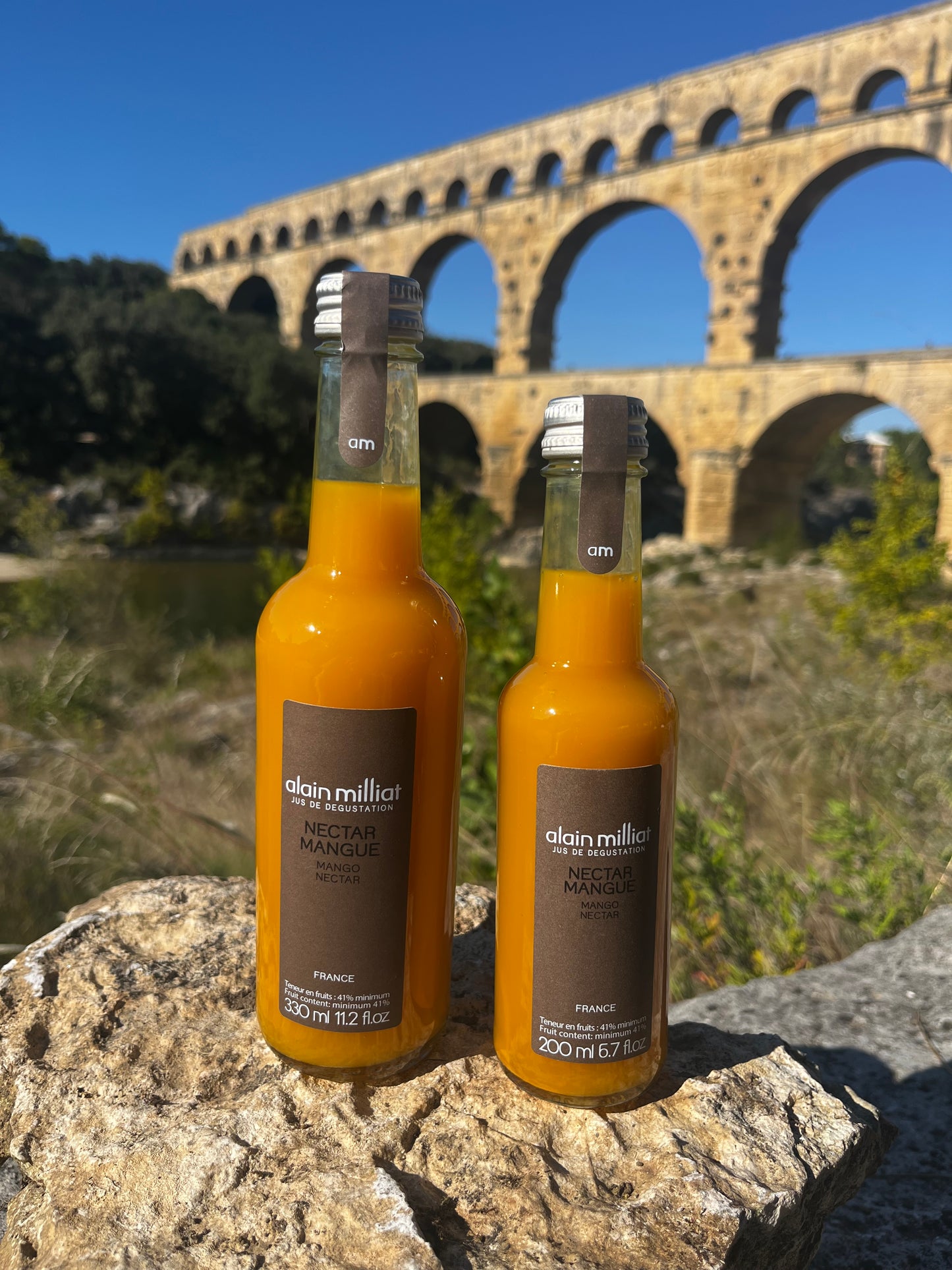 Nectar Mangue 33 CL