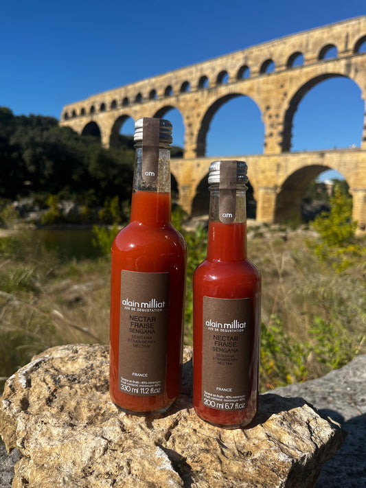 Nectar Fraise Sengana 33 CL