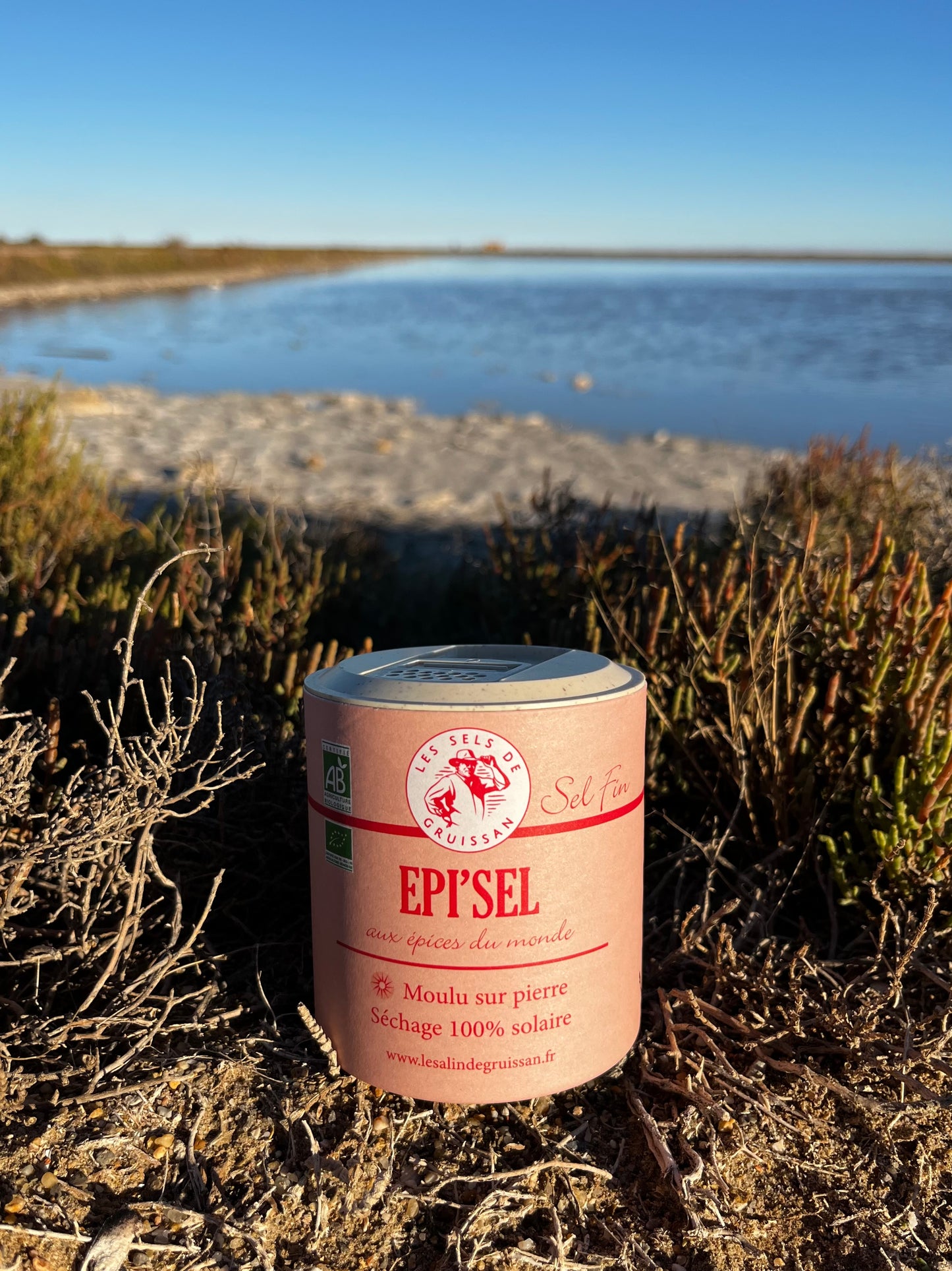 Sel fin Epi'Sel - Salière 250g