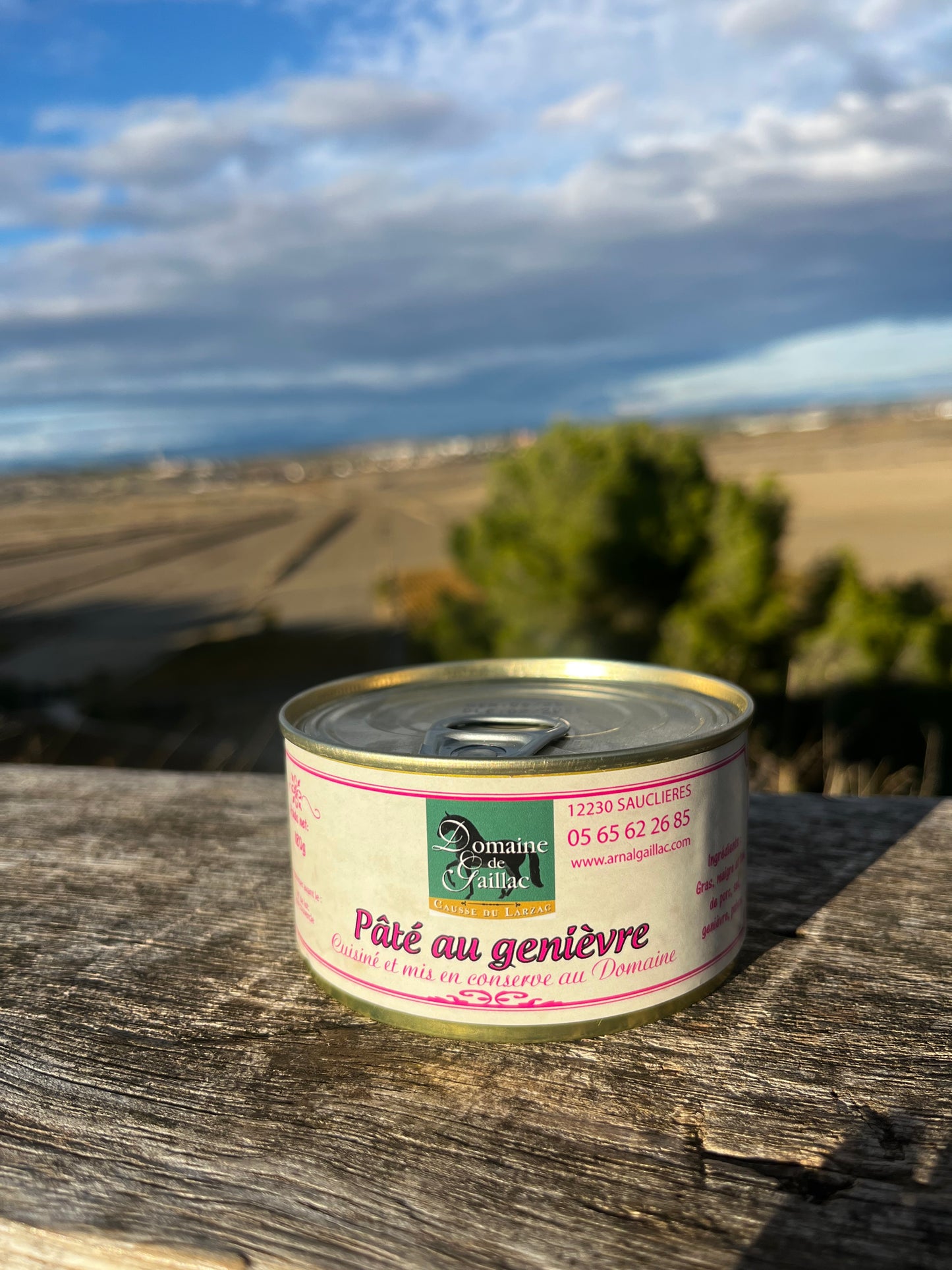 PATE AU GENIEVRE 180G