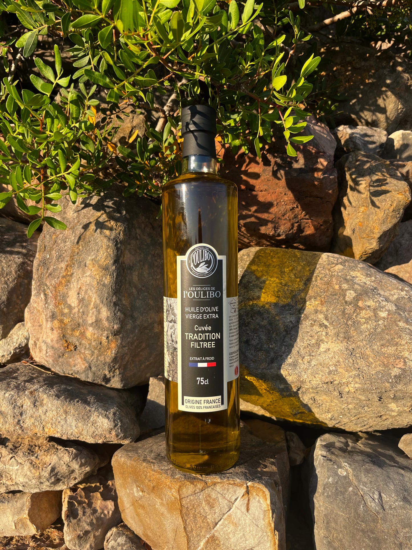 Huile d'Olive Vierge Extra en 75cl