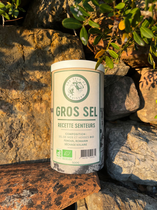Gros sel Senteurs - Tube carton 500g