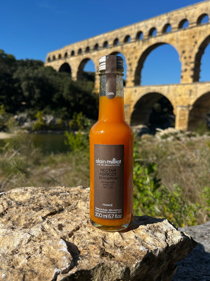 Nectar Abricot Bergeron 20 CL