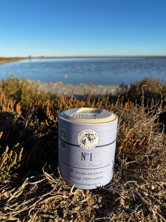 Salière Sel Fin Nature 250g