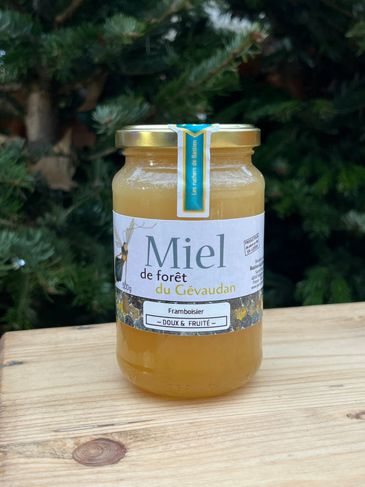 Miel de forêt framboisier